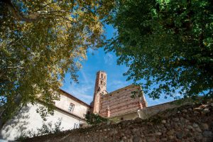 diaporama-jardin-14