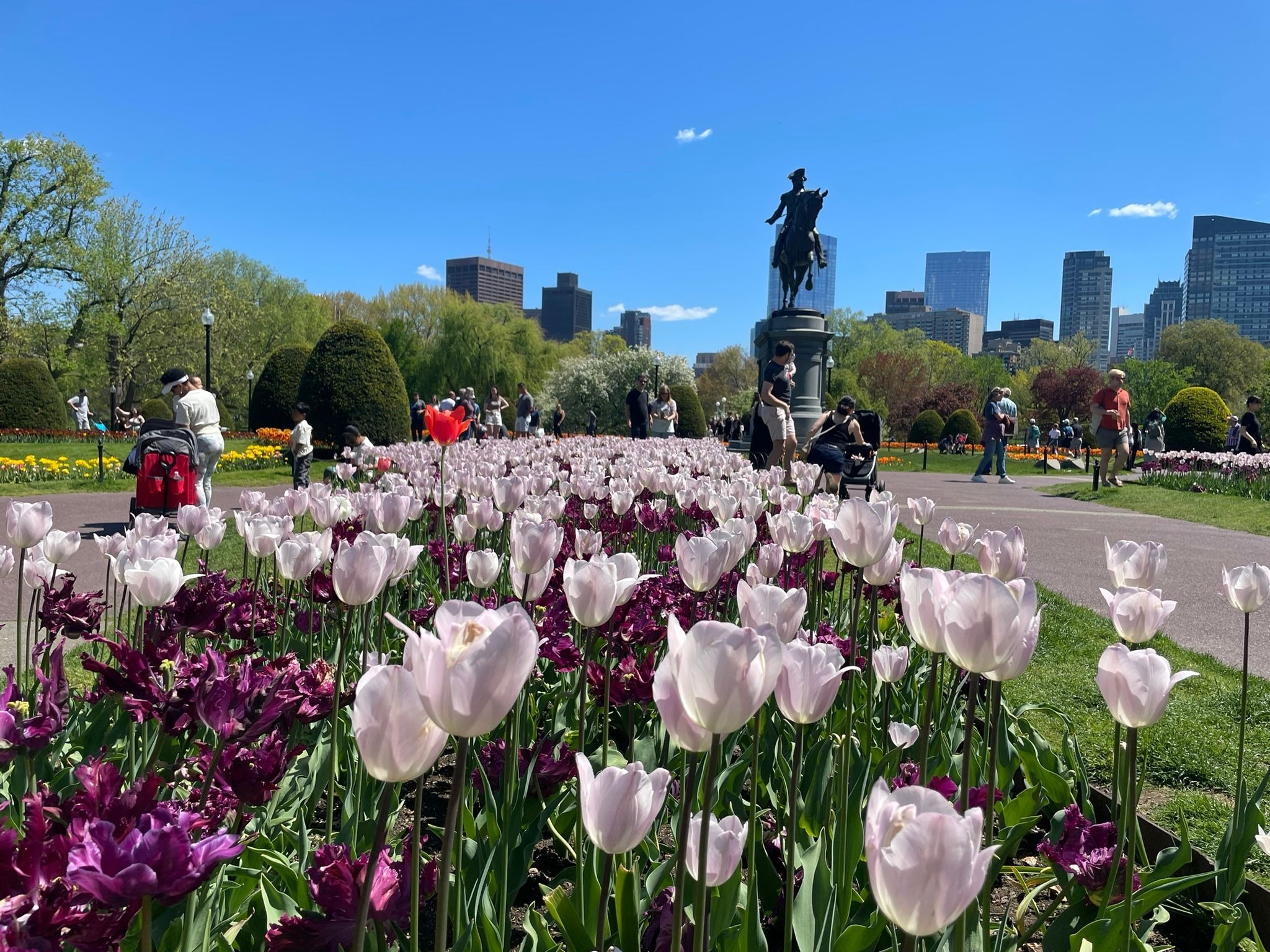 Boston - Ville de Boston - mai 2023